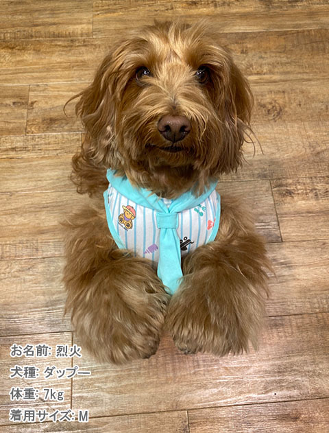 Baby.max　ノースリーブ犬服ブランドのドッグデプト/DOG DEPT