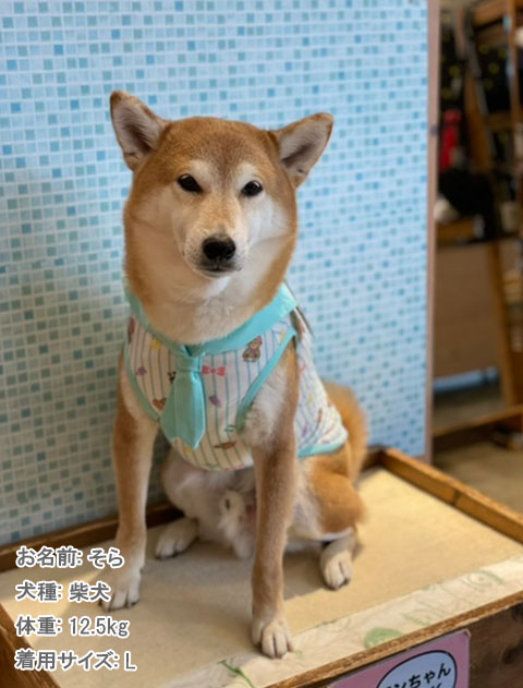 犬服 ドッグウェア Baby Max ノースリーブ Dog Dept ドッグデプト Online Shop