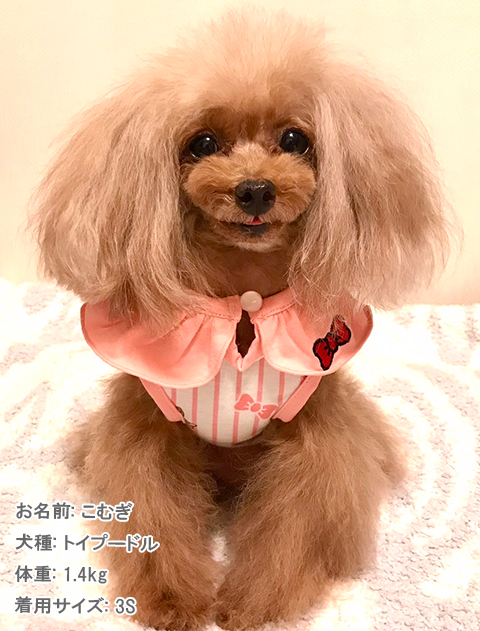Baby.max　ノースリーブ犬服ブランドのドッグデプト/DOG DEPT