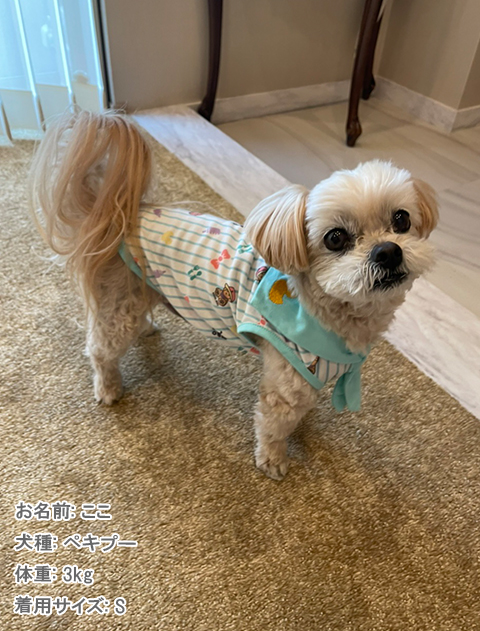 Baby.max　ノースリーブ犬服ブランドのドッグデプト/DOG DEPT