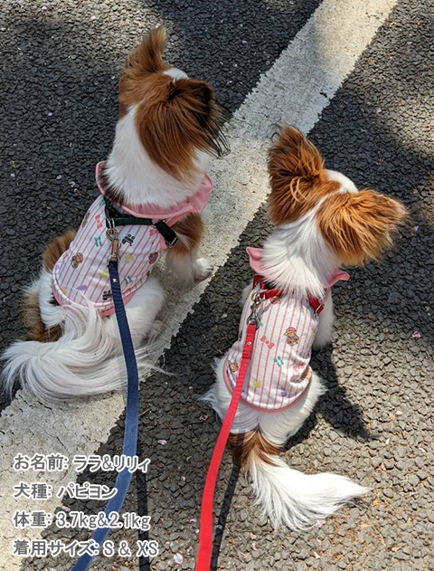 Baby.max　ノースリーブ犬服ブランドのドッグデプト/DOG DEPT