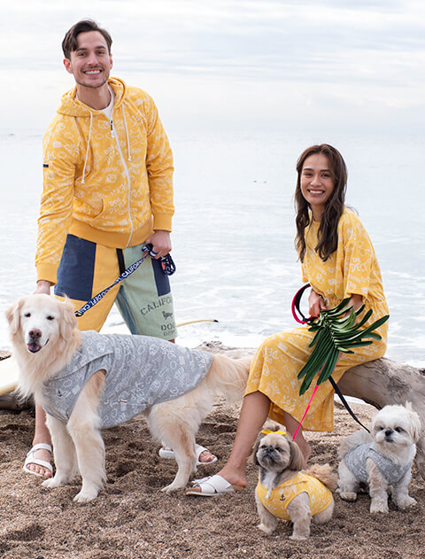 パイルジャガードセーラー犬服ブランドのドッグデプト/DOG DEPT