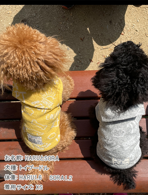 パイルジャガードセーラー犬服ブランドのドッグデプト/DOG DEPT