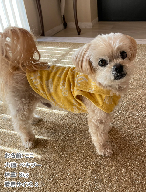 パイルジャガードセーラー犬服ブランドのドッグデプト/DOG DEPT