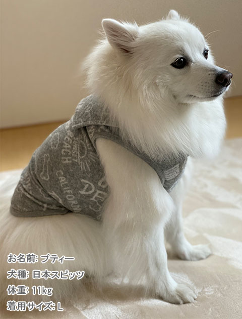 パイルジャガードセーラー犬服ブランドのドッグデプト/DOG DEPT