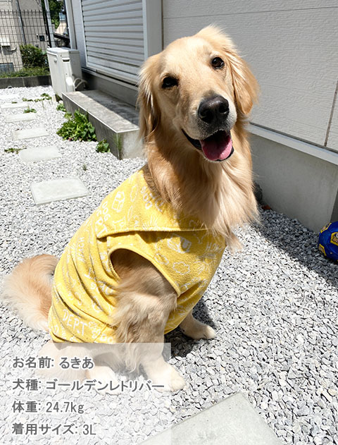 パイルジャガードセーラー犬服ブランドのドッグデプト/DOG DEPT