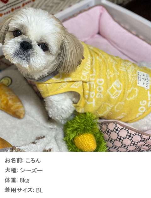 パイルジャガードセーラー犬服ブランドのドッグデプト/DOG DEPT