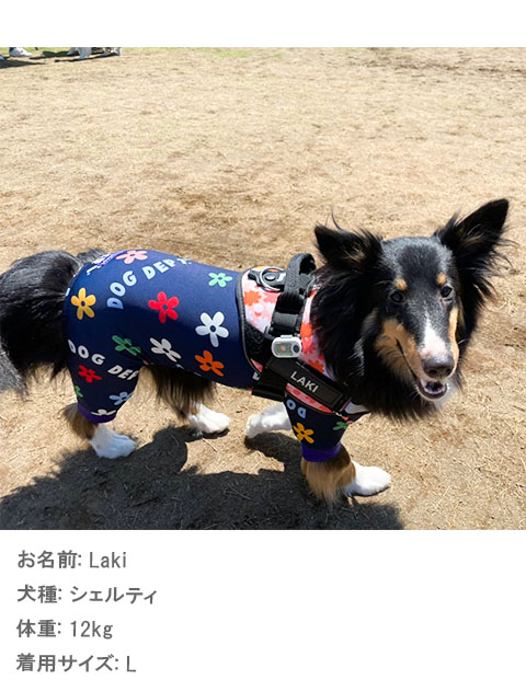 犬服 ドッグウェア ラッシュガード ロンパース Dog Dept ドッグデプト Online Shop