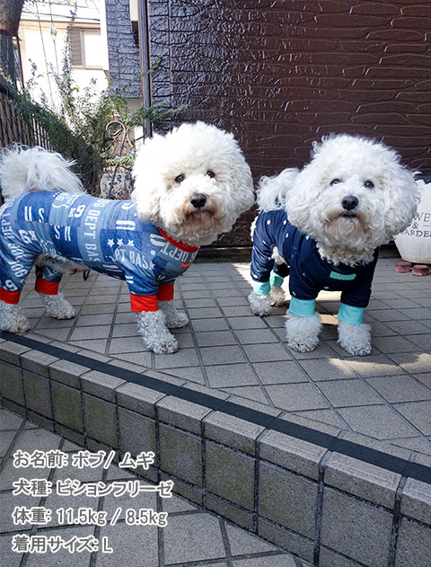 犬服 / ドッグウェア】ラッシュガード ロンパース / DOG DEPT