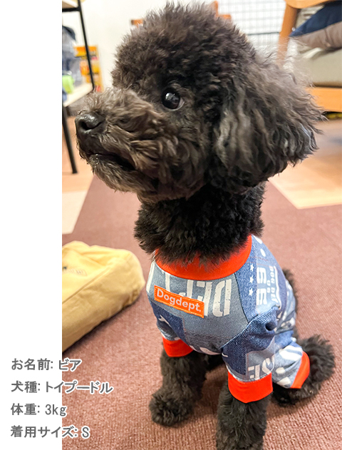 大型犬服 ラッシュガードタイトロンパース 【専用】 Amazon | 犬服 ハイネックロンパース 大型犬 中型犬 ラッシュ
