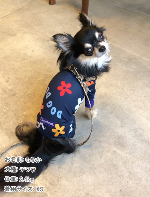 犬服 ドッグウェア ラッシュガード ロンパース Dog Dept ドッグデプト Online Shop