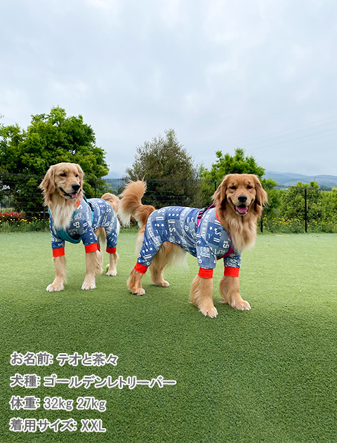 人気 ロンパース ドッグウェア】ラッシュガード / 犬服 / DEPT DOG 犬服・アクセサリー