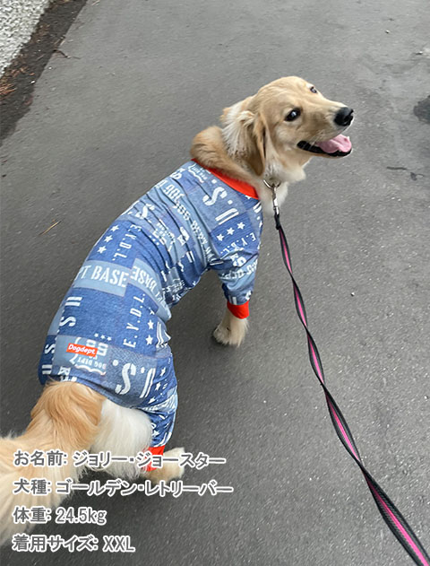 犬服 / ドッグウェア】ラッシュガード ロンパース / DOG DEPT