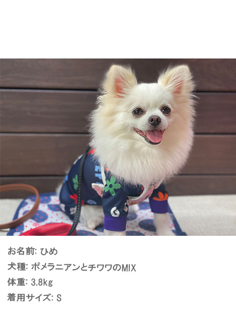 犬服 / ドッグウェア】ラッシュガード ロンパース / DOG DEPT