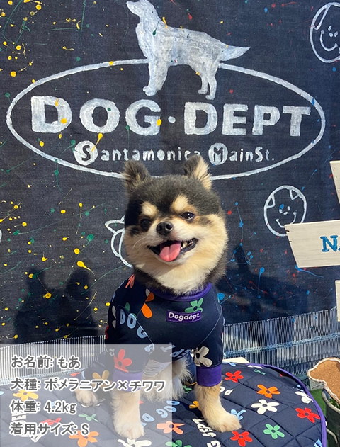 犬服 / ドッグウェア】ラッシュガード ロンパース / DOG DEPT