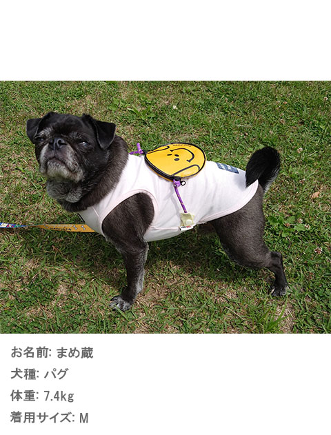 プレーティング天竺　スマイルドッグポーチ犬服ブランドのドッグデプト/DOG DEPT