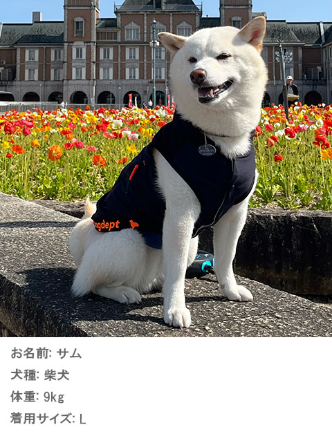 犬服 ドッグウェア ドライタッチストレッチボタンパーカー Dog Dept ドッグデプト Online Shop 犬服 ドッグウェア ドライタッチストレッチボタンパーカー Dog Dept ドッグデプト Online Shop
