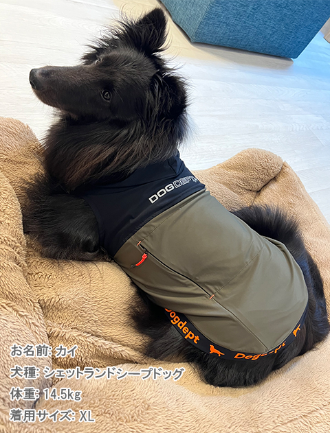 犬服 ドッグウェア ドライタッチストレッチボタンパーカー Dog Dept ドッグデプト Online Shop 犬服 ドッグウェア ドライタッチストレッチボタンパーカー Dog Dept ドッグデプト Online Shop