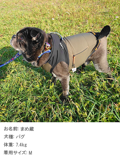 犬服 ドッグウェア ドライタッチストレッチボタンパーカー Dog Dept ドッグデプト Online Shop 犬服 ドッグウェア ドライタッチストレッチボタンパーカー Dog Dept ドッグデプト Online Shop