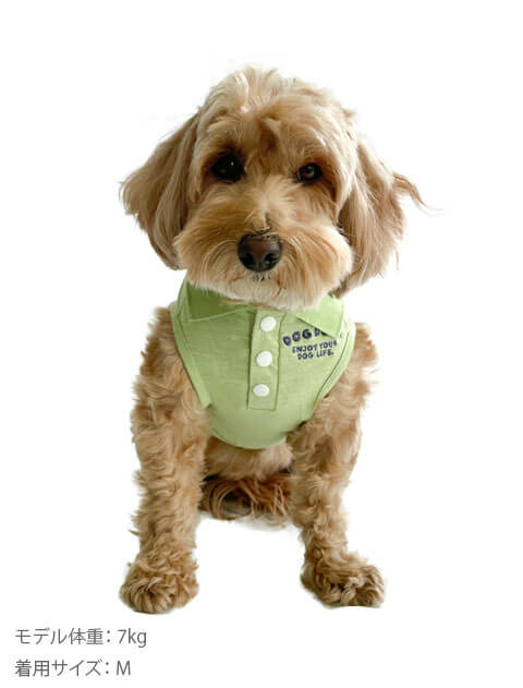 キャンプスラブ天竺ポロ犬服ブランドのドッグデプト/DOG DEPT