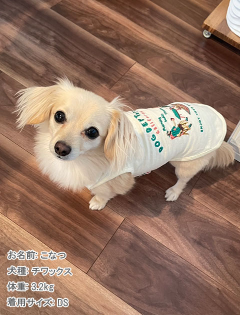 キャンプスラブ天竺ポロ犬服ブランドのドッグデプト/DOG DEPT