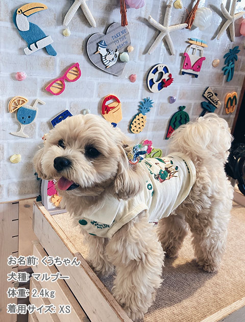 キャンプスラブ天竺ポロ犬服ブランドのドッグデプト/DOG DEPT