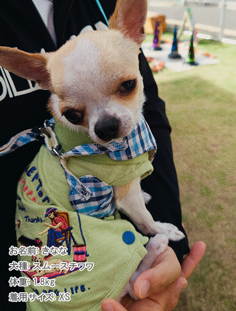 キャンプスラブ天竺ポロ犬服ブランドのドッグデプト/DOG DEPT