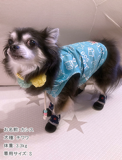犬服 / ドッグウェア】総柄ロゴメッシュペア / DOG DEPT