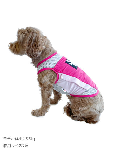 ☆WARE OF THE DOG セーター③未着用 犬服¥12100 ビガーパンツの