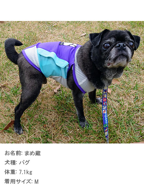 犬服 ドッグウェア クールポケットタンク Dog Dept ドッグデプト Online Shop 犬服 ドッグウェア クールポケットタンク Dog Dept ドッグデプト Online Shop