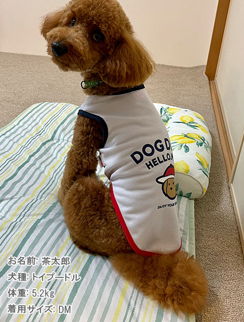 犬服 ハンドメイド 胸当て生地
