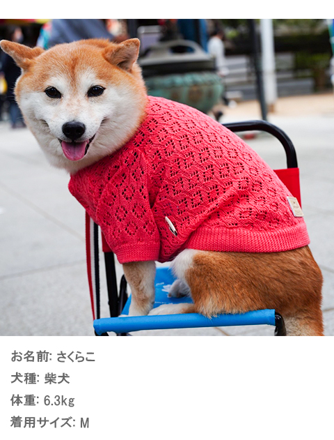 透かし編みカーディガン犬服ブランドのドッグデプト/DOG DEPT
