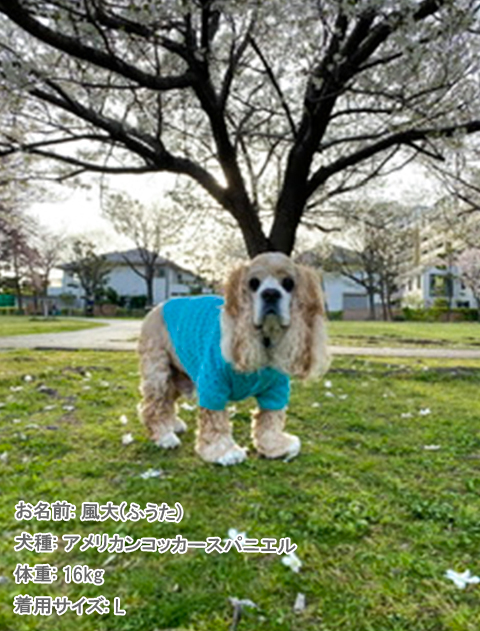 透かし編みカーディガン犬服ブランドのドッグデプト/DOG DEPT