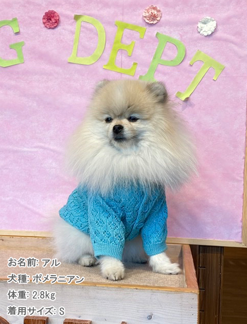 透かし編みカーディガン犬服ブランドのドッグデプト/DOG DEPT