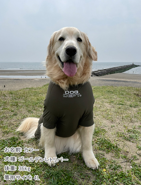 犬服 ドッグウェア ドライタッチストレッチ ロンパース Dog Dept ドッグデプト Online Shop 犬服 ドッグウェア ドライタッチストレッチ ロンパース Dog Dept ドッグデプト Online Shop