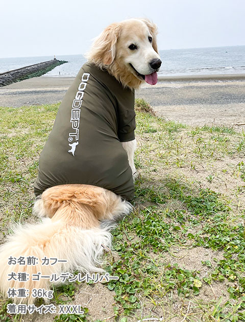 犬服 ドッグウェア ドライタッチストレッチ ロンパース Dog Dept ドッグデプト Online Shop 犬服 ドッグウェア ドライタッチストレッチ ロンパース Dog Dept ドッグデプト Online Shop