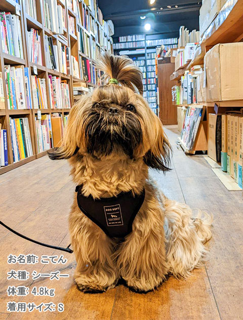 ジャガードロゴ　リード＆ソフトハーネスセット ブランドのドッグデプト/DOG DEPT