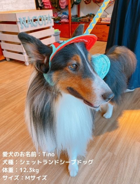 ドッグキャップ ブランドのドッグデプト/DOG DEPT