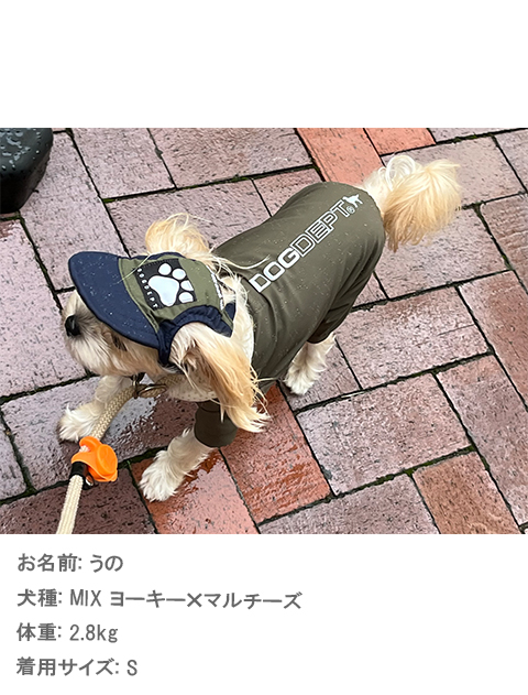 ドッグキャップ ブランドのドッグデプト/DOG DEPT
