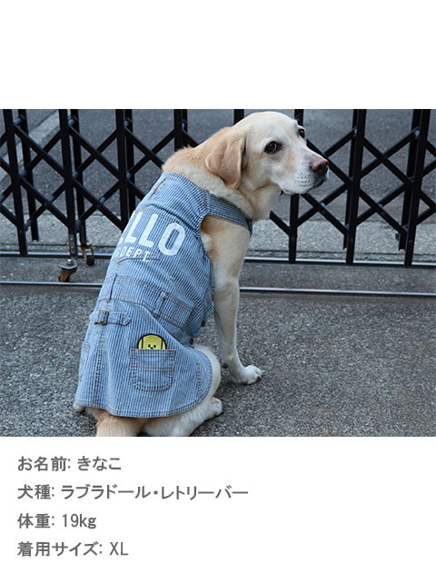犬服^_^ヒッコリーラブサンプル