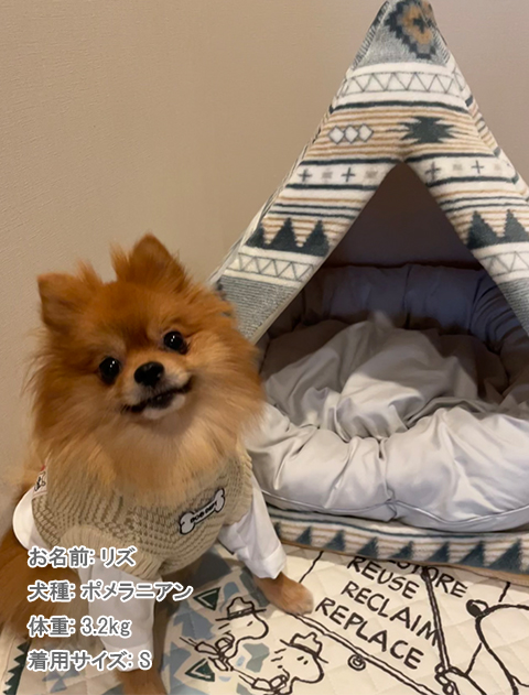 ヘリンボーンレイヤーニット犬服ブランドのドッグデプト/DOG DEPT