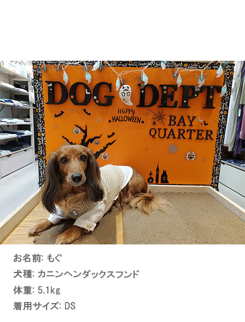 ヘリンボーンレイヤーニット犬服ブランドのドッグデプト/DOG DEPT