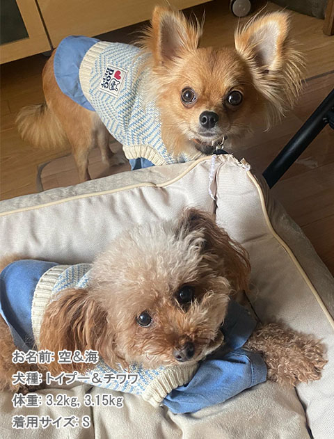 ヘリンボーンレイヤーニット犬服ブランドのドッグデプト/DOG DEPT