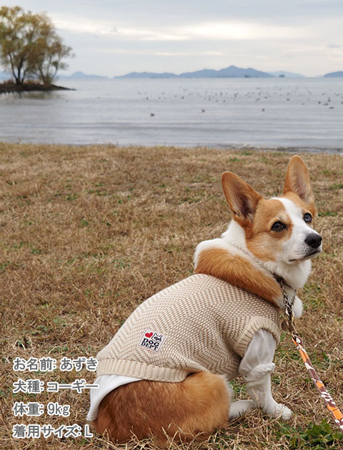 ヘリンボーンレイヤーニット犬服ブランドのドッグデプト/DOG DEPT