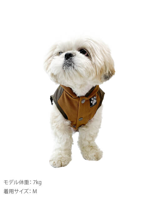 [3レイヤー]防風ワッフルボタンパーカー犬服ブランドのドッグデプト/DOG DEPT