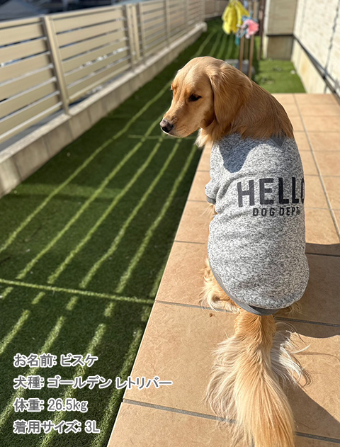 犬服 ドッグウェア 裏起毛ロゴスウェット Dog Dept ドッグデプト Online Shop