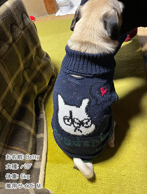 ジャガードニット  犬服ブランドのドッグデプト/DOG DEPT