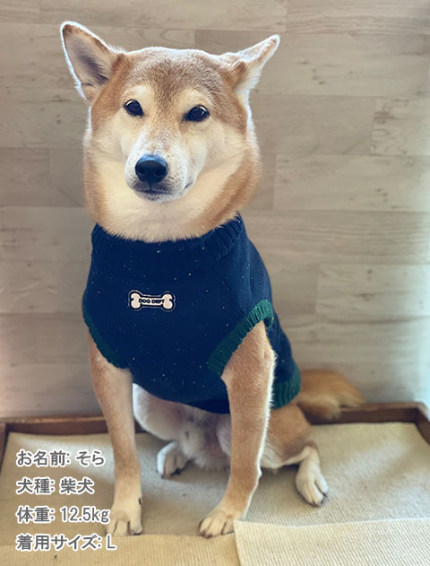 ジャガードニット  犬服ブランドのドッグデプト/DOG DEPT