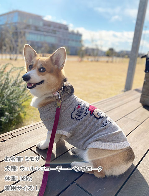 ジャガードニット  犬服ブランドのドッグデプト/DOG DEPT