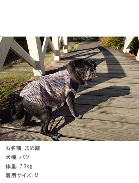 ミックスニットノースリーブ 犬服ブランドのドッグデプト/DOG DEPT
